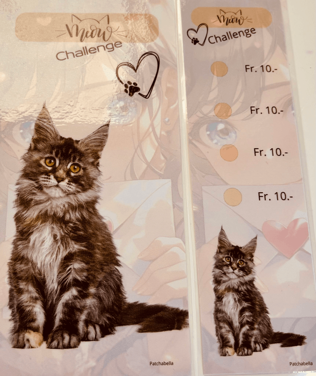 Miaou 1