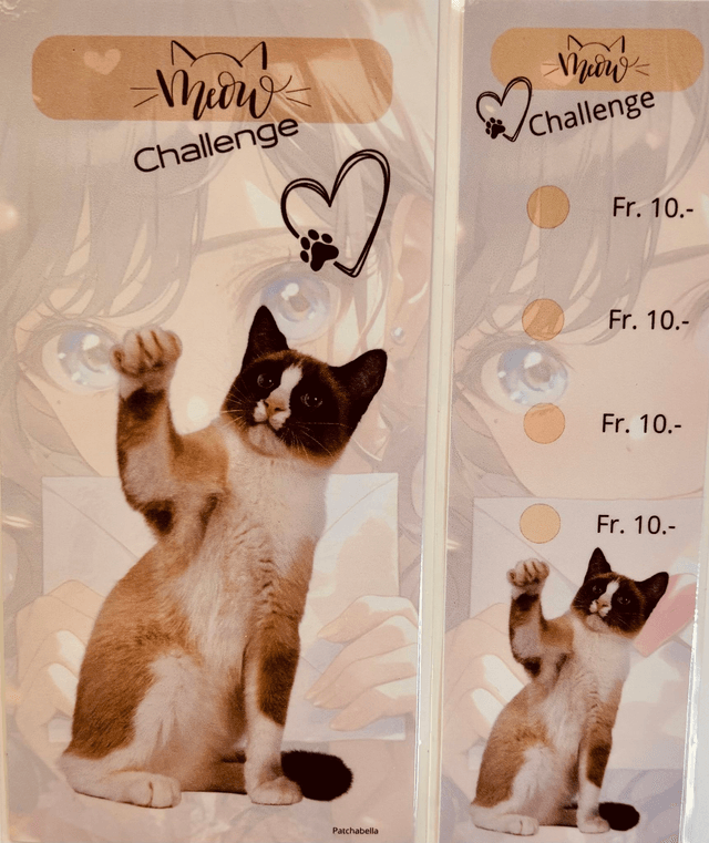 Miaou 10