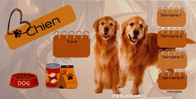 Chien