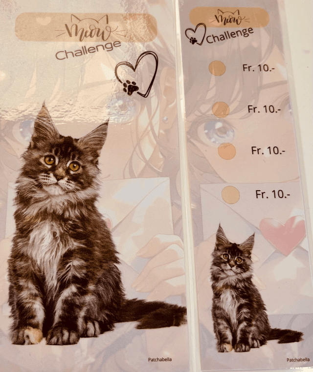 Miaou 1