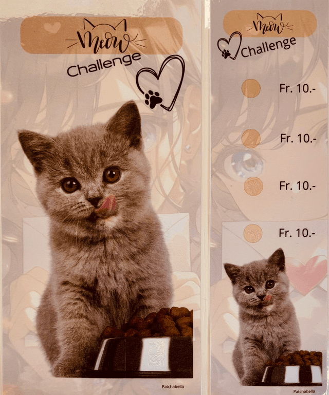 Miaou 9