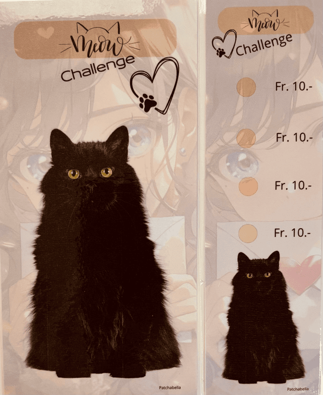 Miaou 7