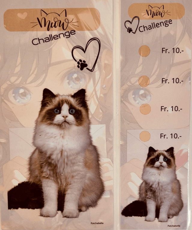 Miaou 12