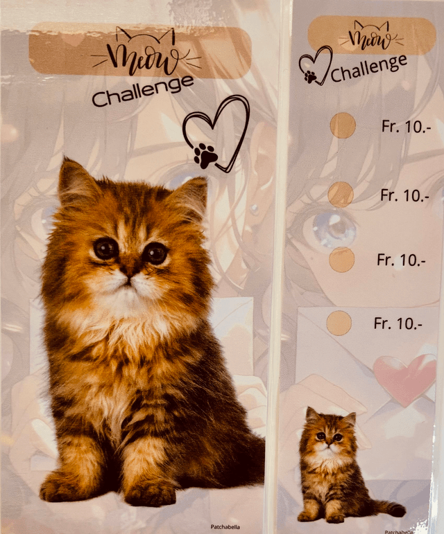 Miaou 6