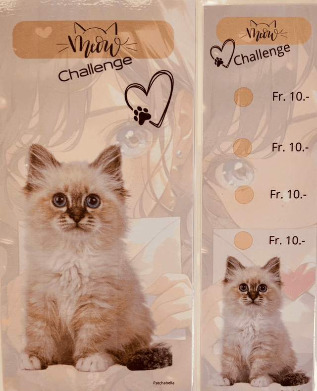 Miaou 8
