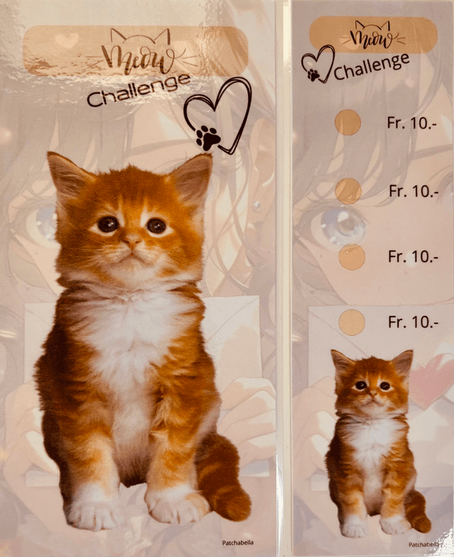 Miaou 2