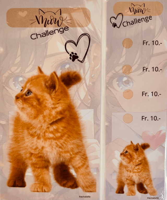 Miaou 5
